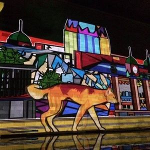 Meet your Posher, Robyn